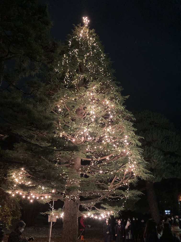 遺愛もクリスマスムードに入りました！！