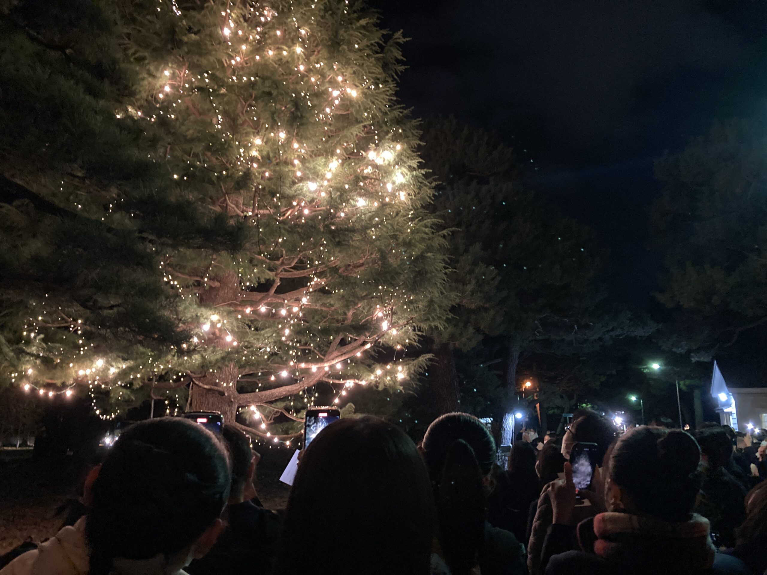 11月22日（水）遺愛女子中学・高等学校正門前の『クリスマスツリー』の点灯式を実施しました🎄